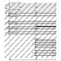 Fonogrammi - Score