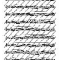 24 Virtuoso Studies