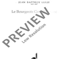 Le Bourgeois Gentilhomme - Violin II