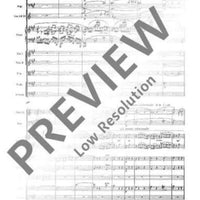 Concerto F# minor - Full Score