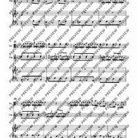 Concerto d minor - Piano Score and Solo Part