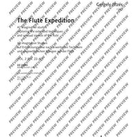 The Flute Expedition