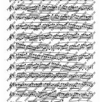 24 Virtuoso Studies