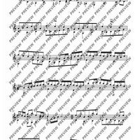 Flute Partita in A minor