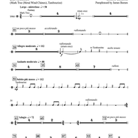 Malaguena: from the Spanish Suite ANDALUCIA - Percussion 2