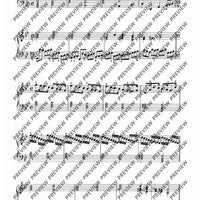 Passacaglia G minor / Chaconne D minor