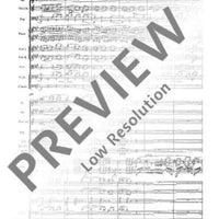 Concerto F# minor - Full Score