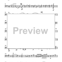 Cello Accompaniments - Volume 4