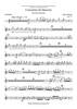 Concertino for Bassoon and Wind Ensemble - Flute 2