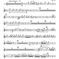 Concertino for Bassoon and Wind Ensemble - Flute 2