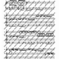 Concerto d minor - Piano Score and Solo Part