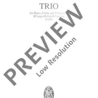 Piano Trio Bb major - Full Score