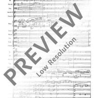 Concerto F# minor - Full Score