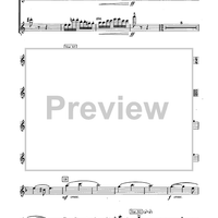 Fantasy Variations on a Theme of Paganini - Flute 1 & Piccolo