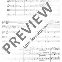 VI. Concert in G minor - Score