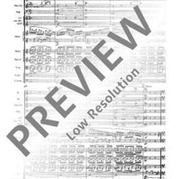 Concerto F# minor - Full Score