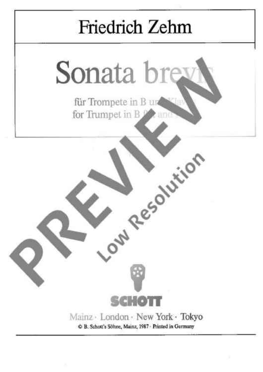 Sonata brevis