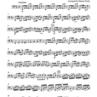 Cello Accompaniments - Volume 2