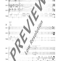 Pieces for Recorder and Drum - Performing Score