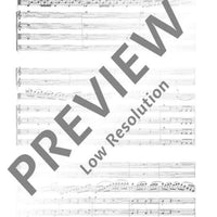 Concerto C Major - Score