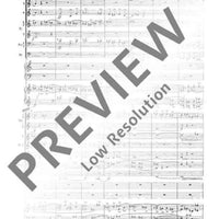 Concerto music - Score