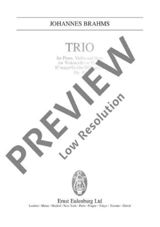 Trio Eb major - Full Score