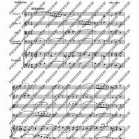 Concerto II G Minor - Score