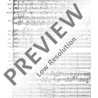 Concerto F# minor - Full Score