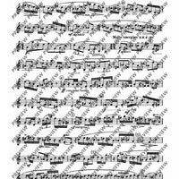 25 Caprices and Sonata