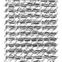 24 Virtuoso Studies