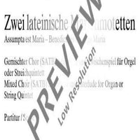 Zwei lateinische Marienmotetten - Choral Score