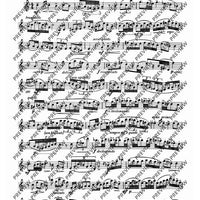 25 Caprices and Sonata