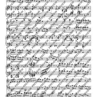 Divertimento (Suite) - Score and Parts