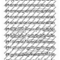 24 Virtuoso Studies