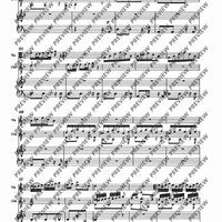 Concerto d minor - Piano Score and Solo Part