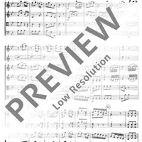 Symphony Bb major - Score