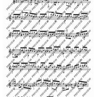 Flute Partita in A minor