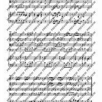 Concerto II G Minor - Score