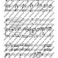 Sonata D Major - Piano Score and Solo Part