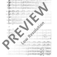 Symphony No. 1 G minor - Full Score