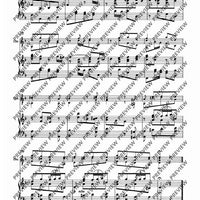 Concerto d minor - Piano Score and Solo Part