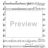 Concertino for Bassoon and Wind Ensemble - Flute 2