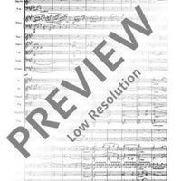 Concerto F# minor - Full Score