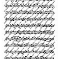 24 Virtuoso Studies