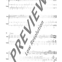 Pieces for Recorder and Drum - Performing Score