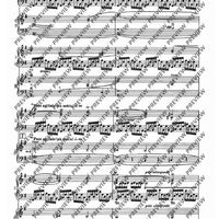 Third Piano Concerto in E minor - Piano Reduction