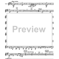 Fantasy Variations on a Theme of Paganini - Eb Contra Alto Clarinet