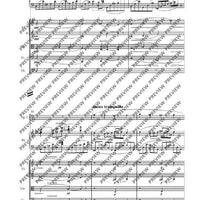 Piano Concerto A minor - Full Score