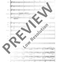 Symphony No. 5 E minor - Full Score