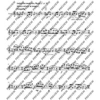 Flute World - Score and Parts